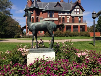 The Brucemoore Lamb - Cedar Rapids, IA.jpg