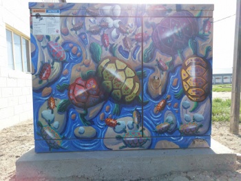 Turtle Power Box - Fort Collins, CO.jpg