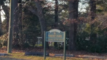 Forest Park - Springfield, MA.jpg