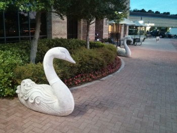 Swan Statues at Tom Thumb - Irving, TX.jpg