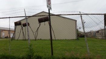 Wild Drums - Indianapolis, IN.jpg