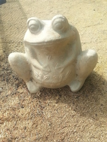 Frog of Good Fortune - Elk Grove, CA.jpg