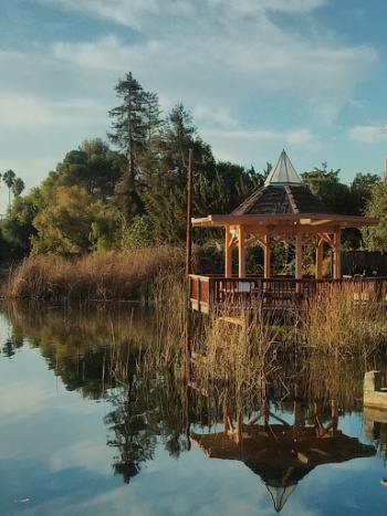 Tower in Lake - Concord, CA.jpg