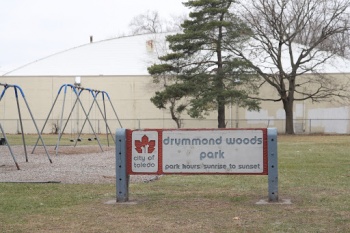 Drummond Woods Park - Toledo, OH.jpg