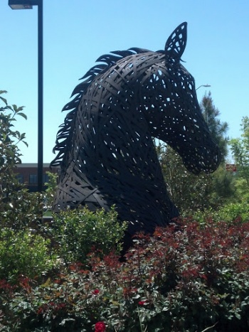 Horse Head - Cary, NC.jpg