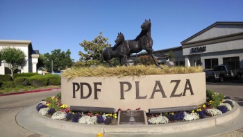 PDF Plaza Horses - Elk Grove, CA.jpg