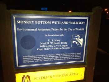 Monkey Bottom - Norfolk, VA.jpg