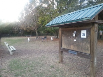Ackerman Park Dog Run - Charleston, SC.jpg