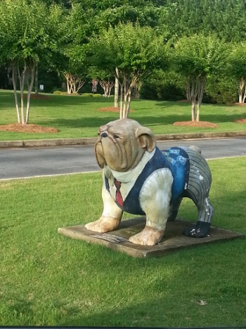 Banker Bulldog - Athens, GA.jpg