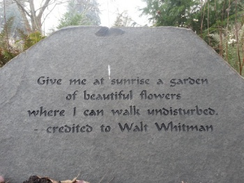Bellevue Demonstration Garden - Bellevue, WA.jpg