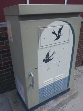 Sparrows on Electrical Box - Somerville, MA.jpg