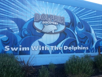 Dolphin Discovery- AOR - Vallejo, CA.jpg