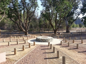 Santa Clarita Youth Grove - Santa Clarita, CA.jpg