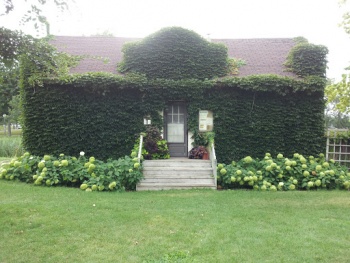 Loring Park Garden House - Minneapolis, MN.jpg