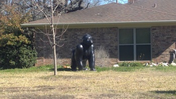 Brothers Boulevard Gorilla Statue - College Station, TX.jpg