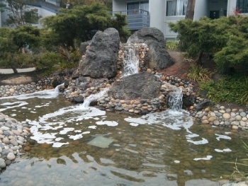 Fountains of Shadowbrook - Sunnyvale, CA.jpg