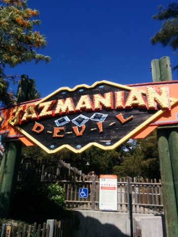 Tasmanian Devil - Vallejo, CA.jpg