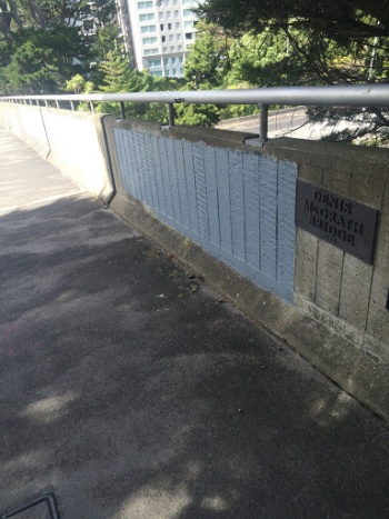 Denis Mc Grath Bridge - Wellington, Wellington.jpg