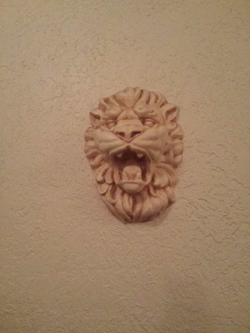Lion - Mesa, AZ.jpg
