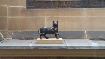 Matthew Flinders' Intrepid Cat - Sydney, NSW.jpg