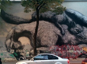 Chaotic Animal Graffiti - Wien, Wien.jpg