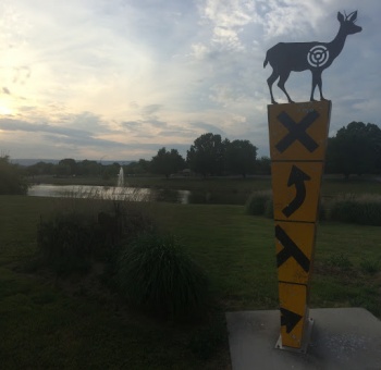 Chatt State - Animal Xing - Chattanooga, TN.jpg