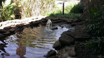 Endocrine Fountain - Roseville, CA.jpg