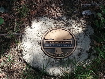 Millie Stribley Memorial - Concord, CA.jpg