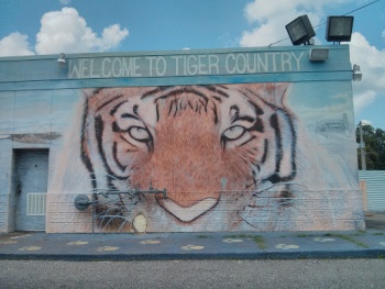 Tiger Mural - Memphis, TN.jpg