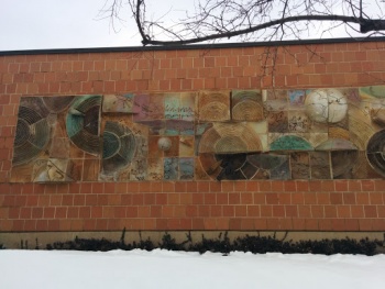 CACC Animal Shelter - Chicago, IL.jpg