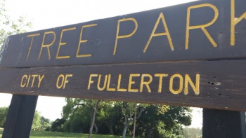 Tree Park - Fullerton, CA.jpg