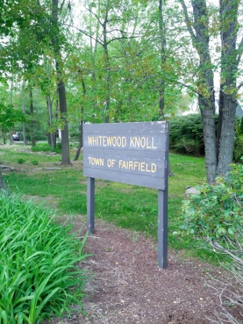 Whitewood Knoll - Fairfield, CT.jpg