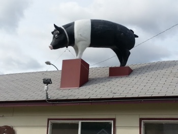 Pig Statue - Billings, MT.jpg