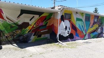 Rainbow Panda - Calgary, AB.jpg