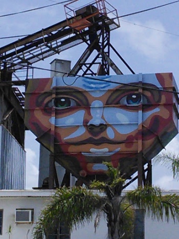 Carroll's Mammoth Chute Face - Saint Petersburg, FL.jpg