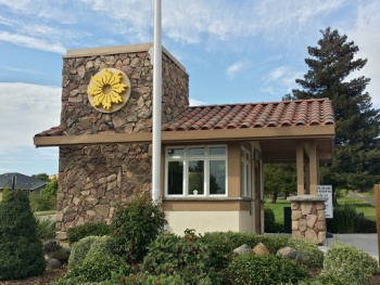Rancho Solano Sunflower - Fairfield, CA.jpg