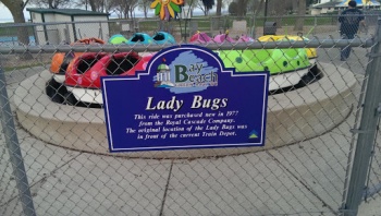 Lady Bugs - Green Bay, WI.jpg