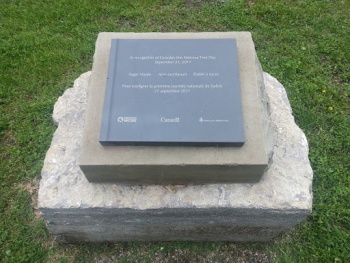 First National Tree Day Memorial - Ottawa, ON.jpg