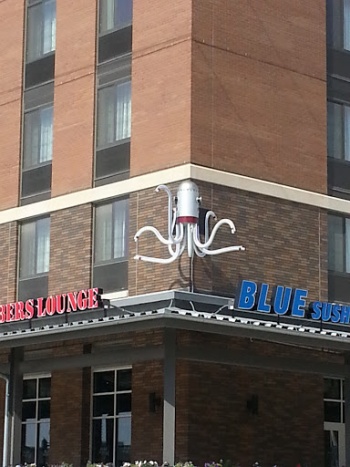 Haymarket Blue Sushi Octopus - Lincoln, NE.jpg
