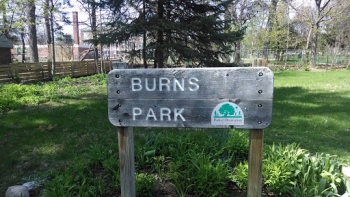 Burns Park - Ann Arbor, MI.jpg