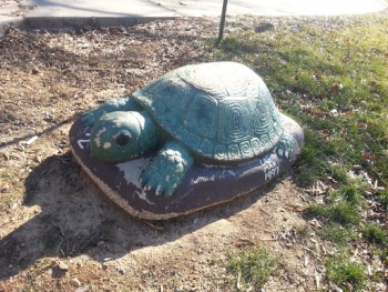 Battleground Park Turtle - Greensboro, NC.jpg