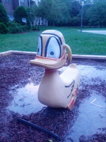 Duck Playground Equipment - Cary, NC.jpg