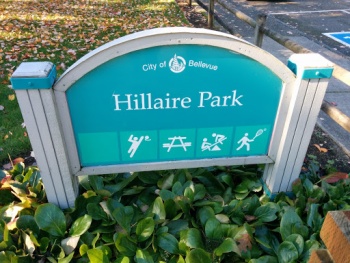 Hilaire Park - Bellevue, WA.jpg
