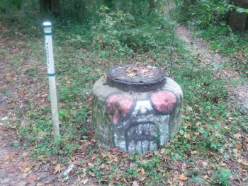 Manhole Monster - Gainesville, FL.jpg