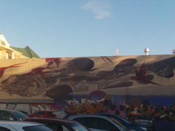 Wobbegong With Parrots Mural - Adelaide, SA.jpg