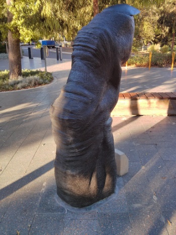 Chimpanzee Finger - Adelaide, SA.jpg