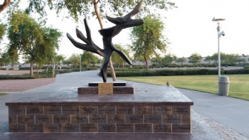 Tree of Peace - At Still University - Mesa, AZ.jpg