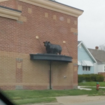 Cow Statue at Alwan and Sons Meat Company - Peoria Heights, IL.jpg