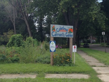 Cedarbrook Community Garden - Lansing, MI.jpg