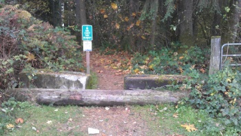King County Park - Renton, WA.jpg